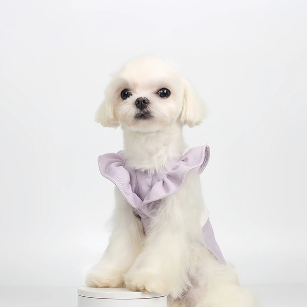 Biteone | Exquisite Princess-style Flutter Sleeve Pet Dress