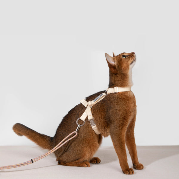 Hidream | Ultra-Lightweight Cat  Harness & Leash Set