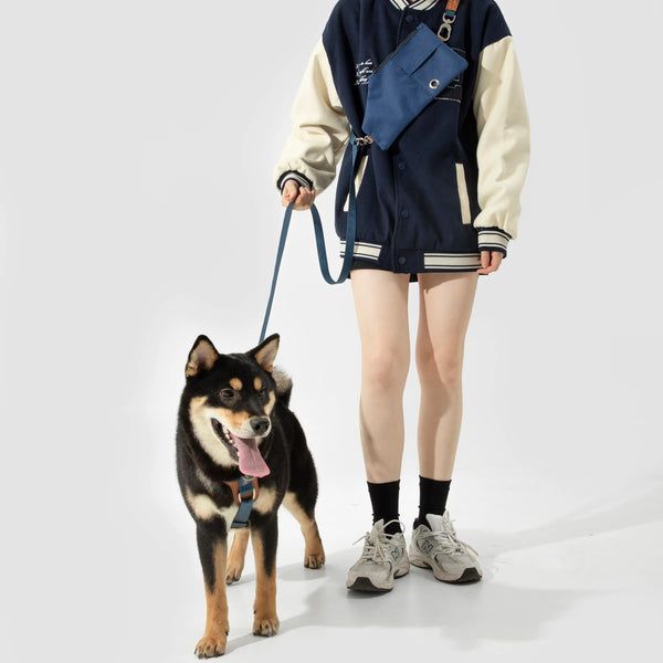 Paw Journeys | Multi-function Dog Harness Walk Kit