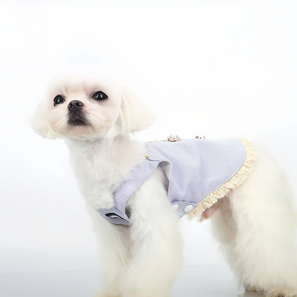 Biteone | Chanel-inspired Pet Dress