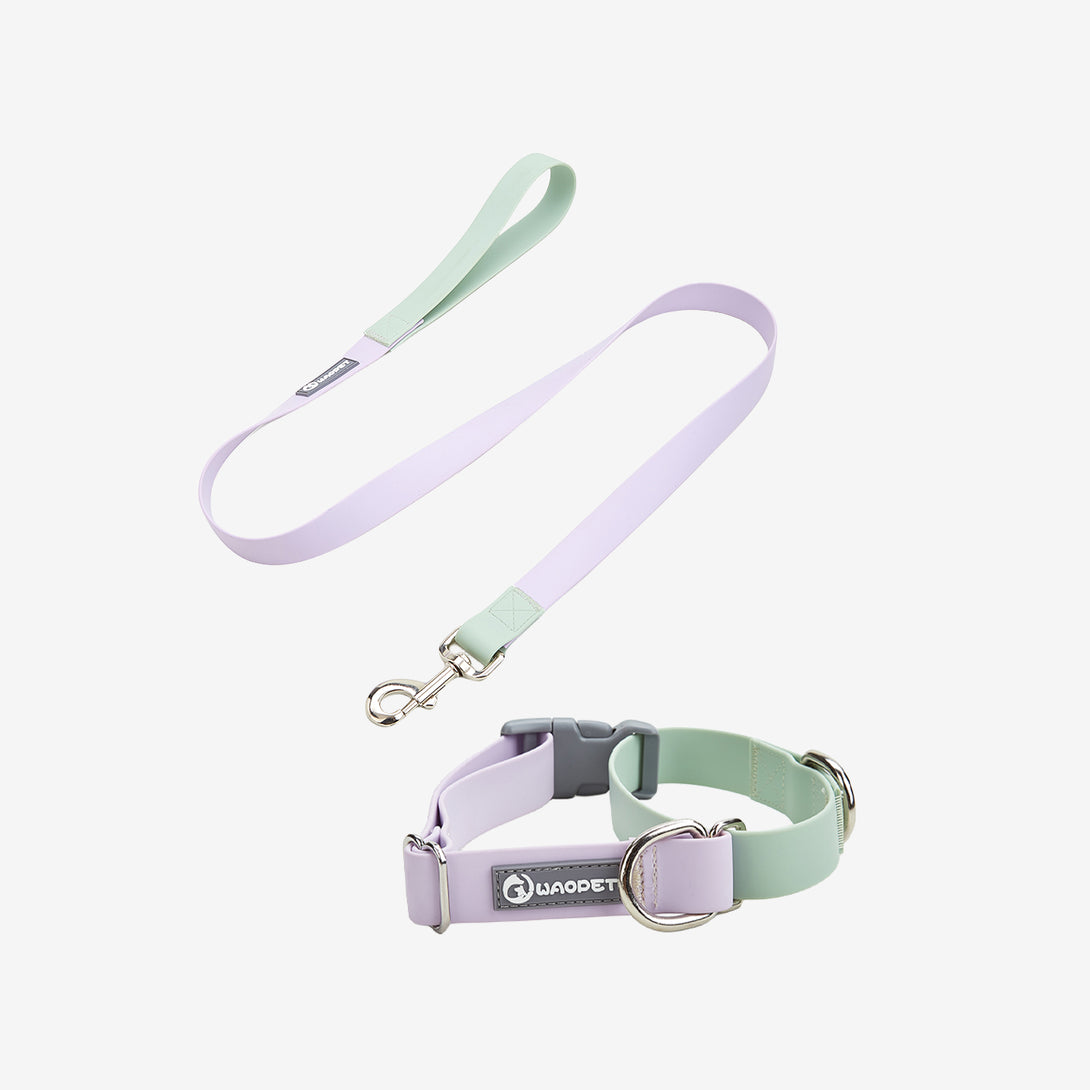 WAOPET Contrasting Colors Waterproof Dog Collar & Leash Kit Green