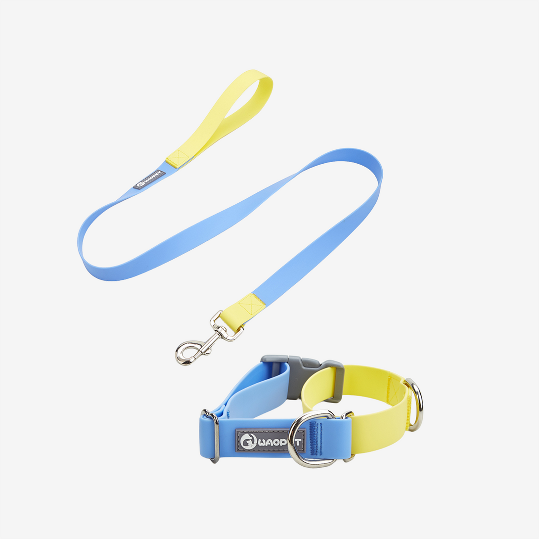 WAOPET Contrasting Colors Waterproof Dog Collar & Leash Kit Blue
