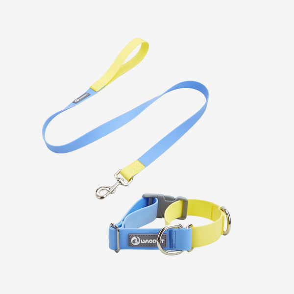 WAOPET | Contrasting Colors Waterproof Dog Collar & Leash Kit