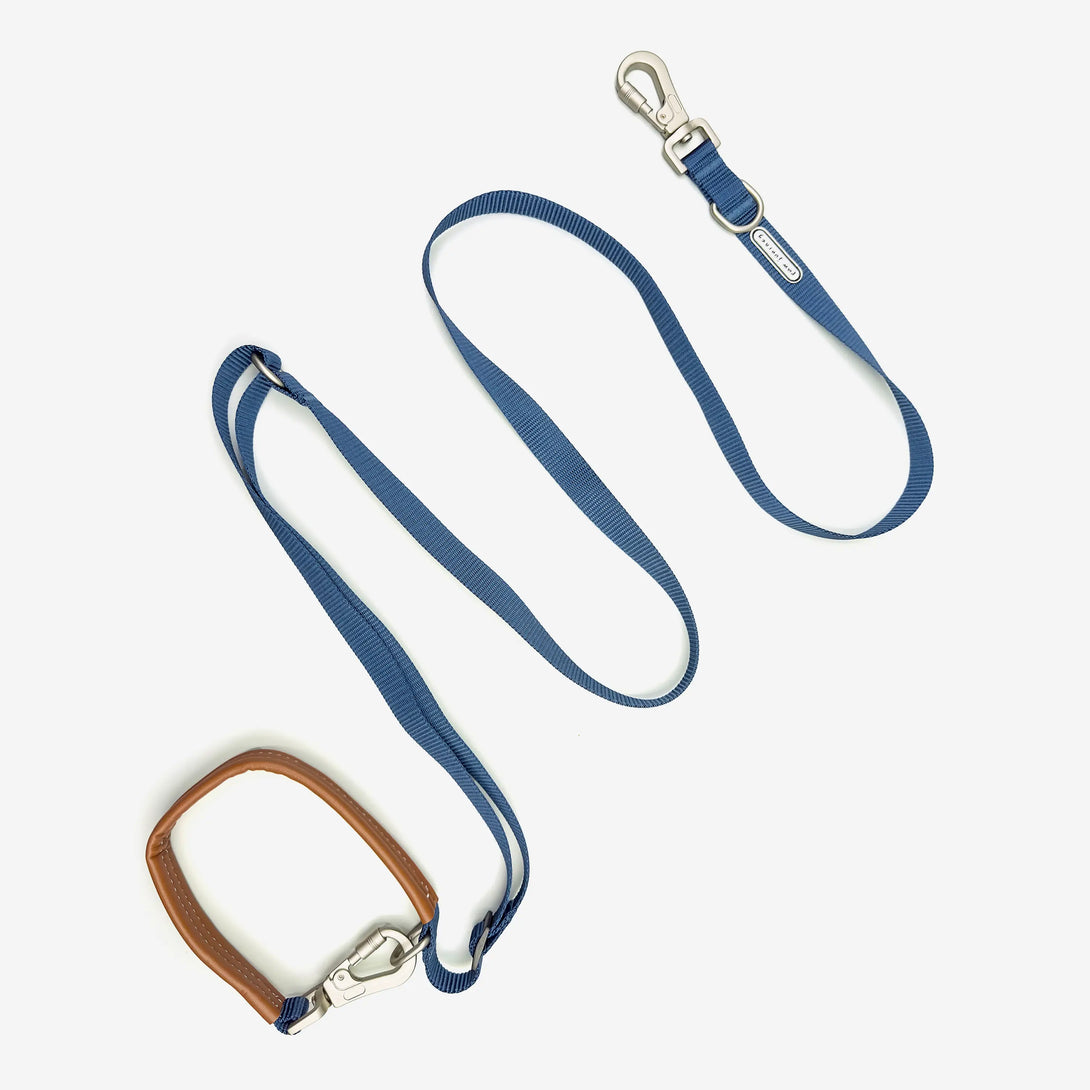 Ease Hands Free Dog Leash-Blue