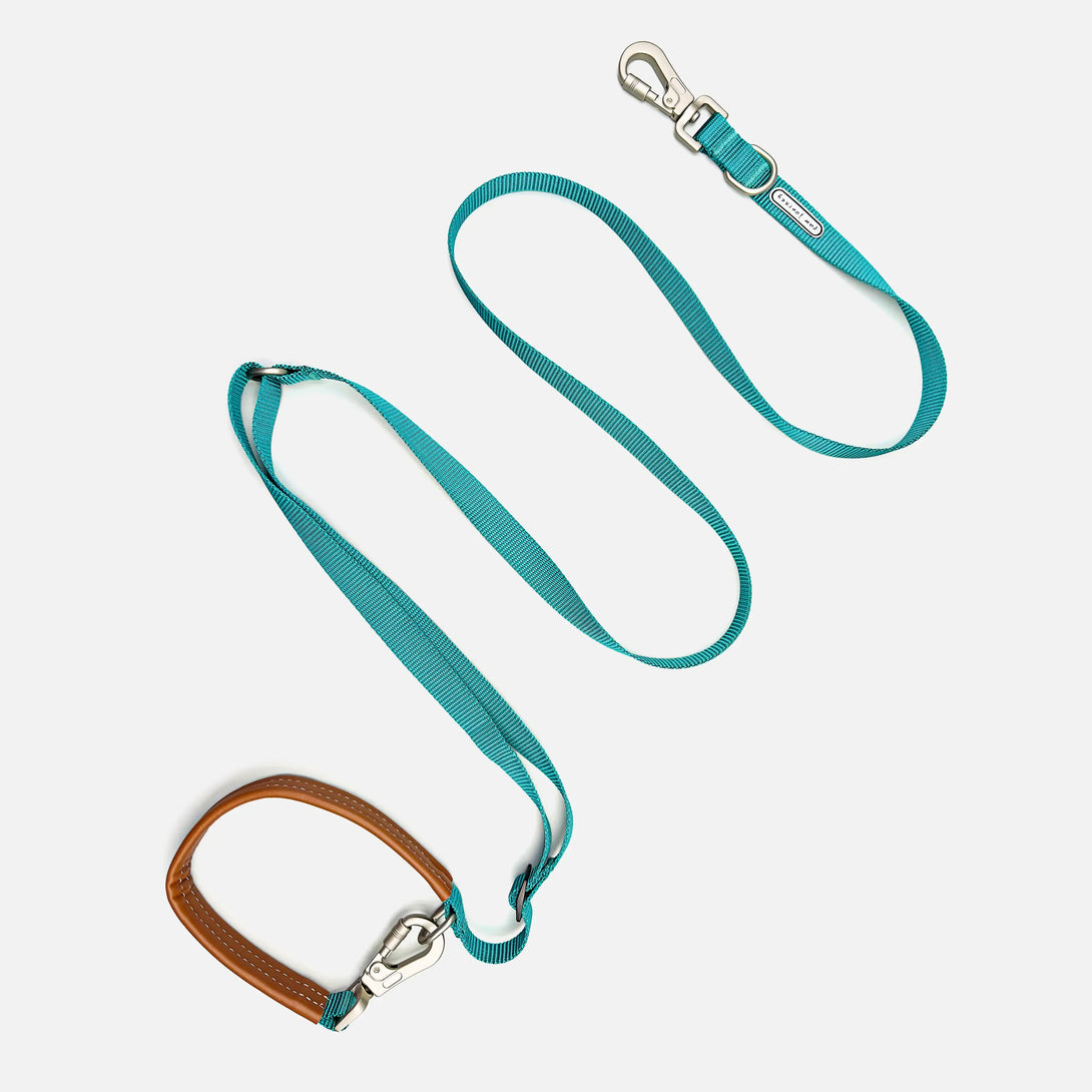 Ease Hands Free Dog Leash-Green