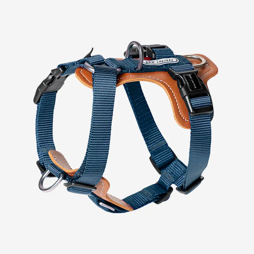 Easy Walking Dog Harness Blue