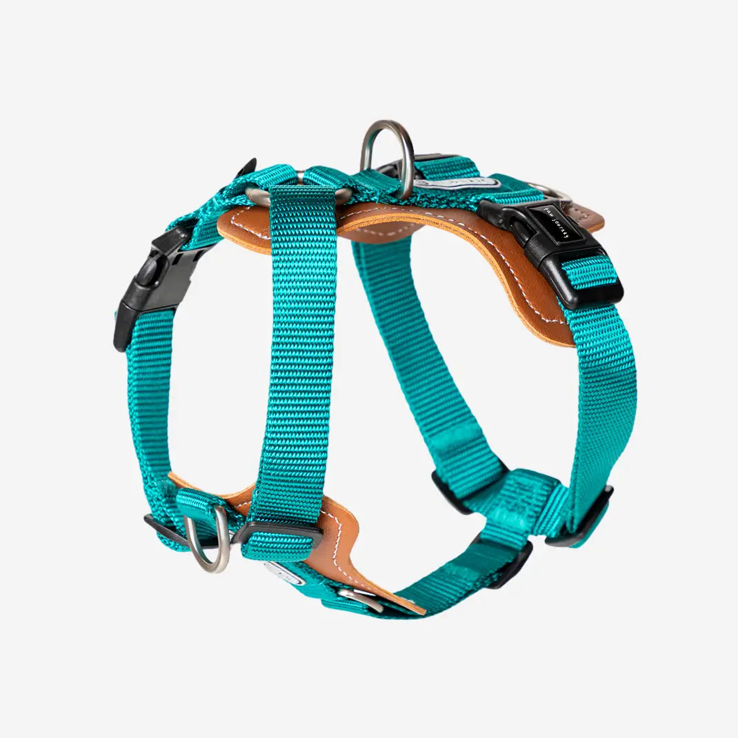 Easy Walking Dog Harness Green
