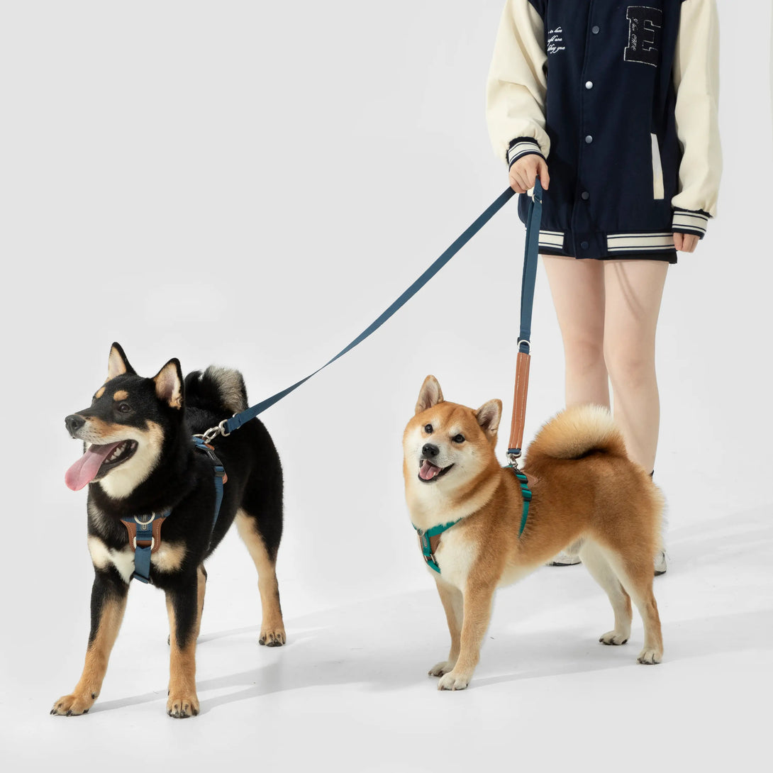 Easy Walking Dog Harness And Leash Kit-Scene1