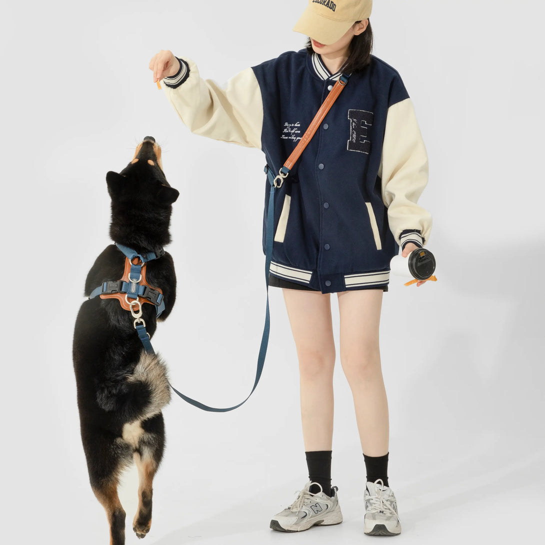 Easy Walking Dog Harness And Leash Kit-Scene10