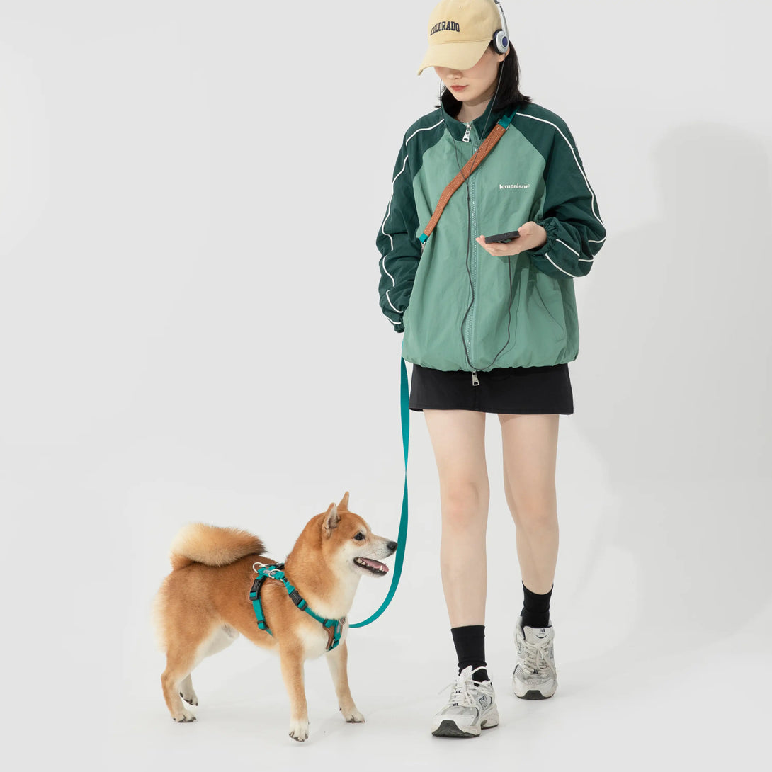 Easy Walking Dog Harness And Leash Kit-Scene14