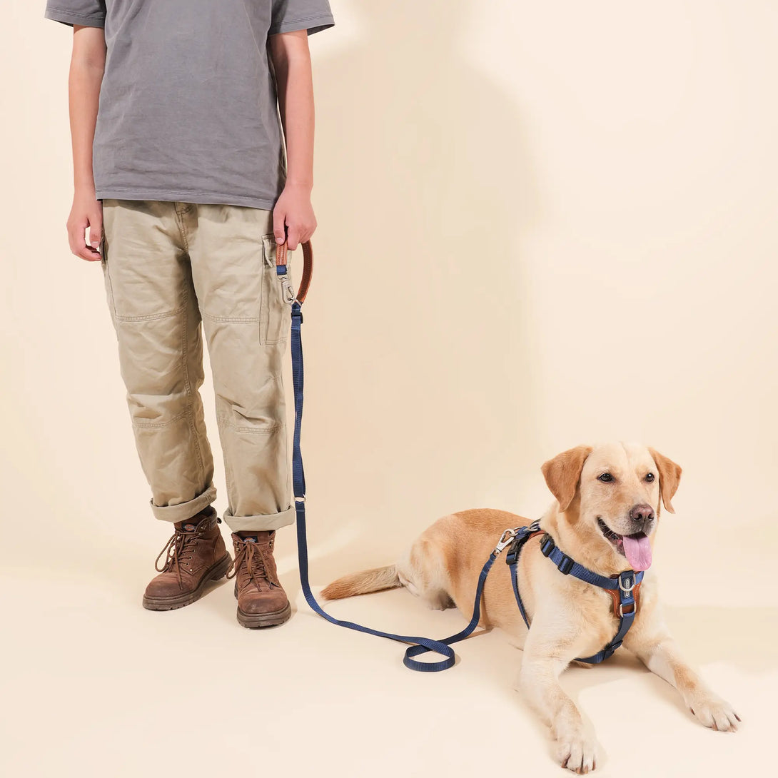 Easy Walking Dog Harness And Leash Kit-Scene15