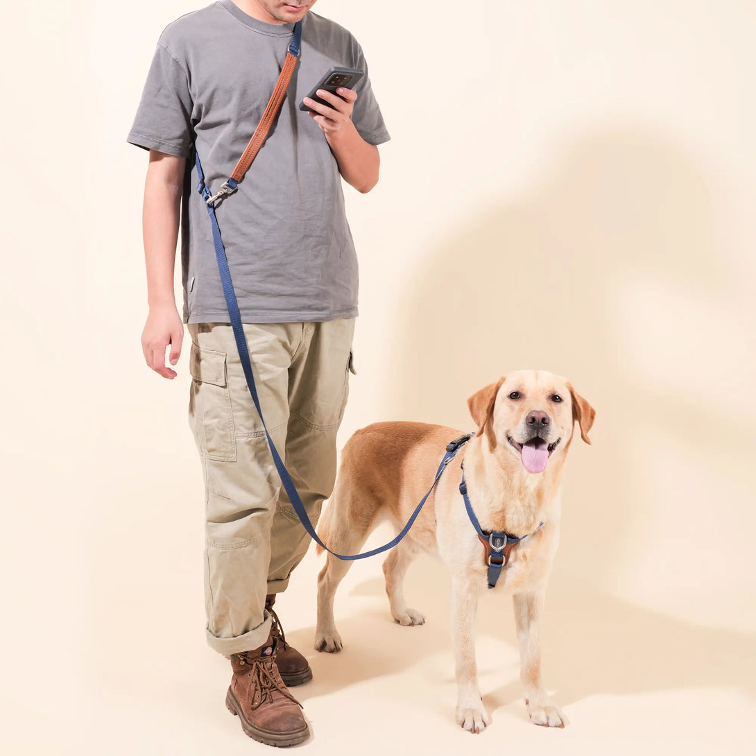 Easy Walking Dog Harness And Leash Kit-Scene20