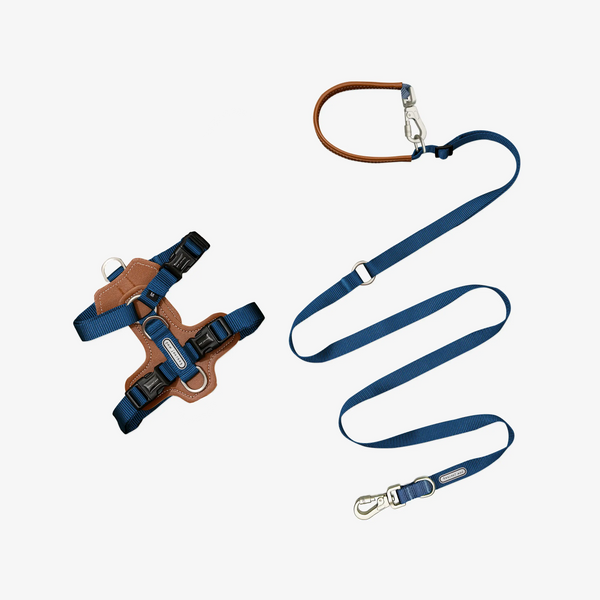 3. Effortless Walk Dog Harness & Leash Kit