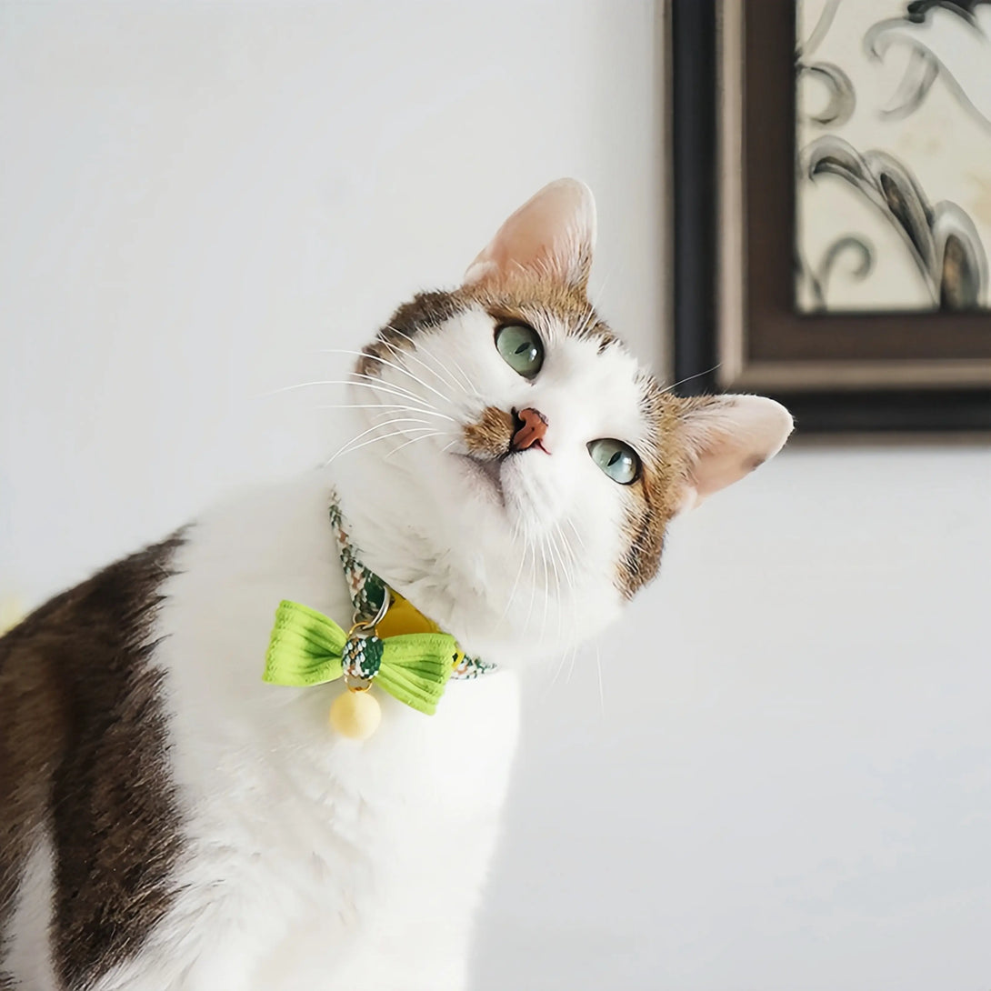 Paw Journeys England Style Sub Cat Collarr-1
