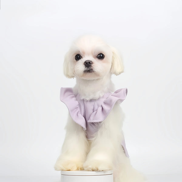 Exquisite Princess-style Flutter Sleeve Pet Dress