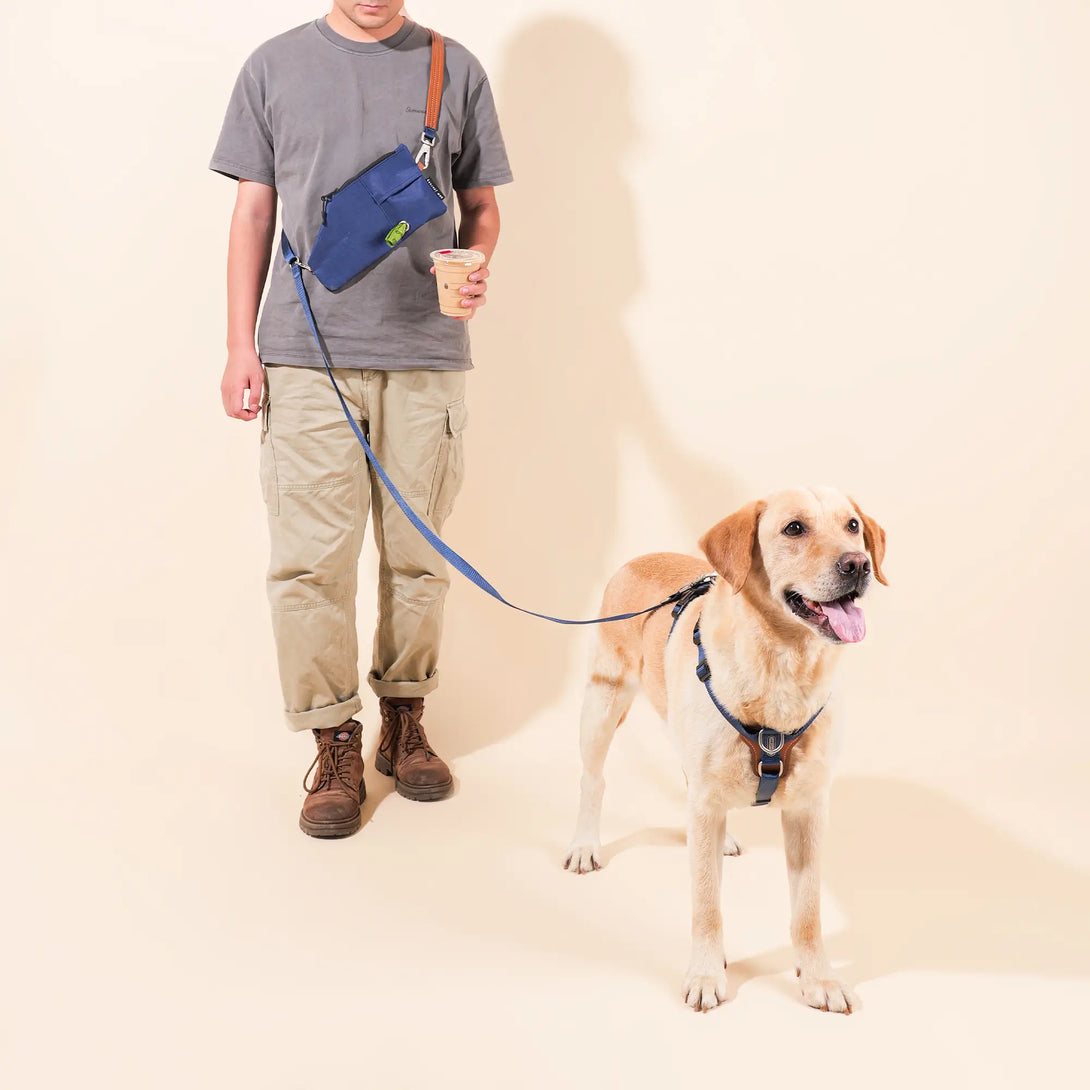 Hands free Dog Harness Walk Kit-Scene21