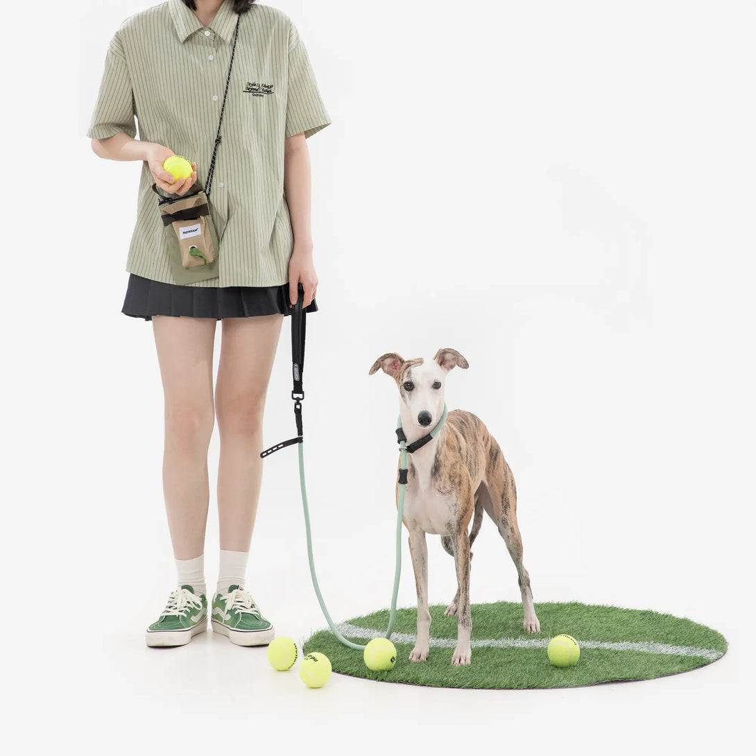 Hidream Pet Treat Pouch-Scene6