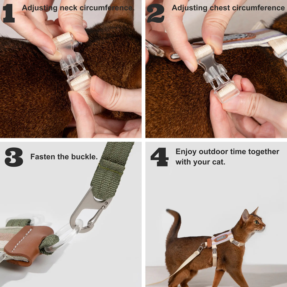 Striped Cat Harness And Leash Wearing Instructions