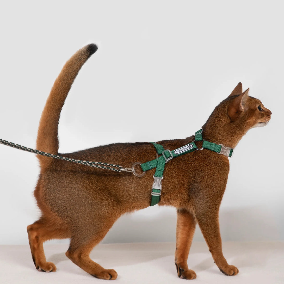 Ultra-Lightweight Cat Harness Green Scene