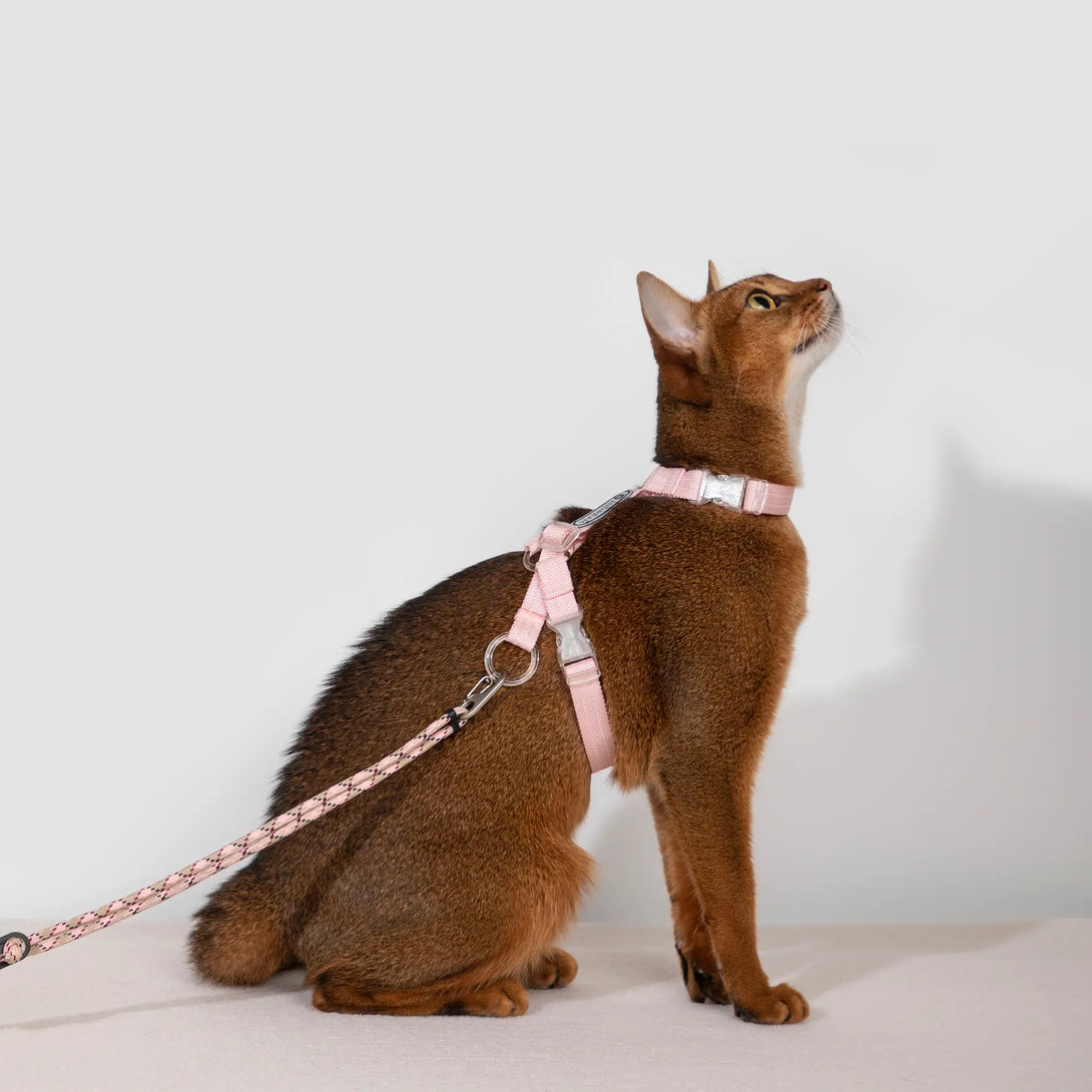 Ultra-Lightweight Cat Harness Pink Scene