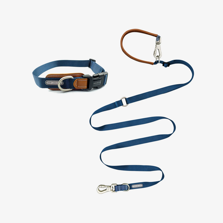 Leather-Stitched Dog Collar And Leash Kit-Blue