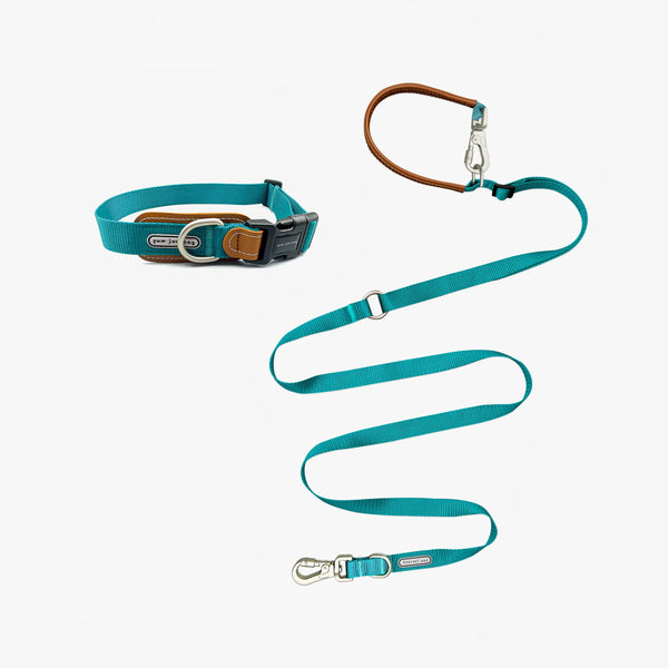 Leather-Stitched Dog Collar And Leash Kit-Green