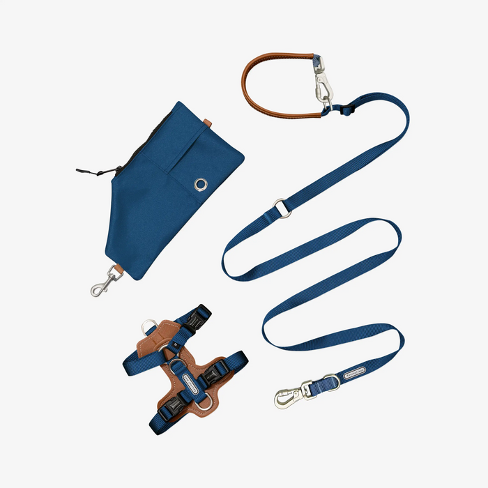 Top 10 Dark Green Dog Harnesses in 2024