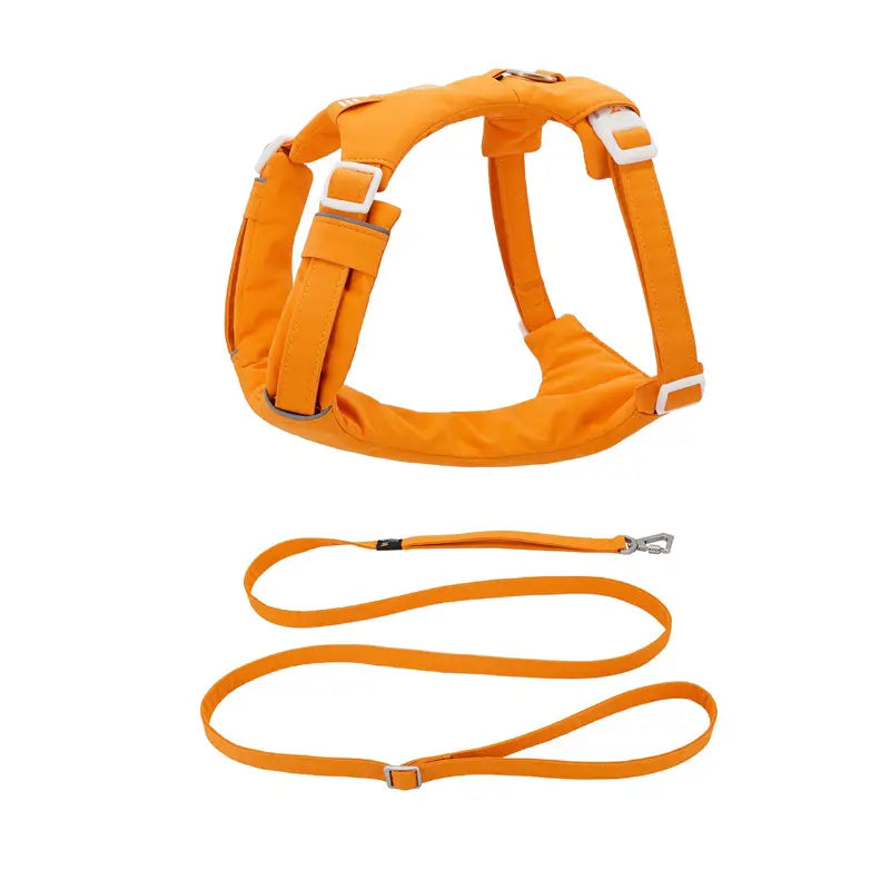 No Pull Cushioned Dog Harness And Leash Kit-Orange