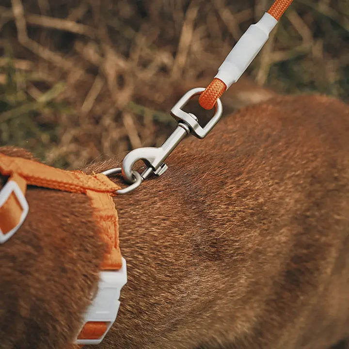 Outdoor Adventure Cat Harness And Leash Kit-Orange-Details