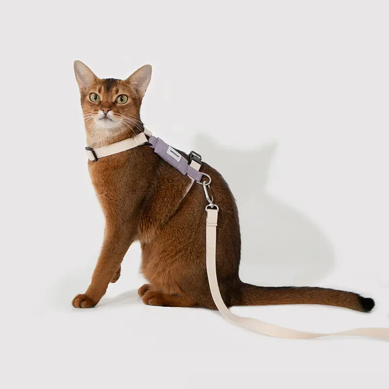 Patchwork Colorwork Cat Harness And Leash Kit Purple 1