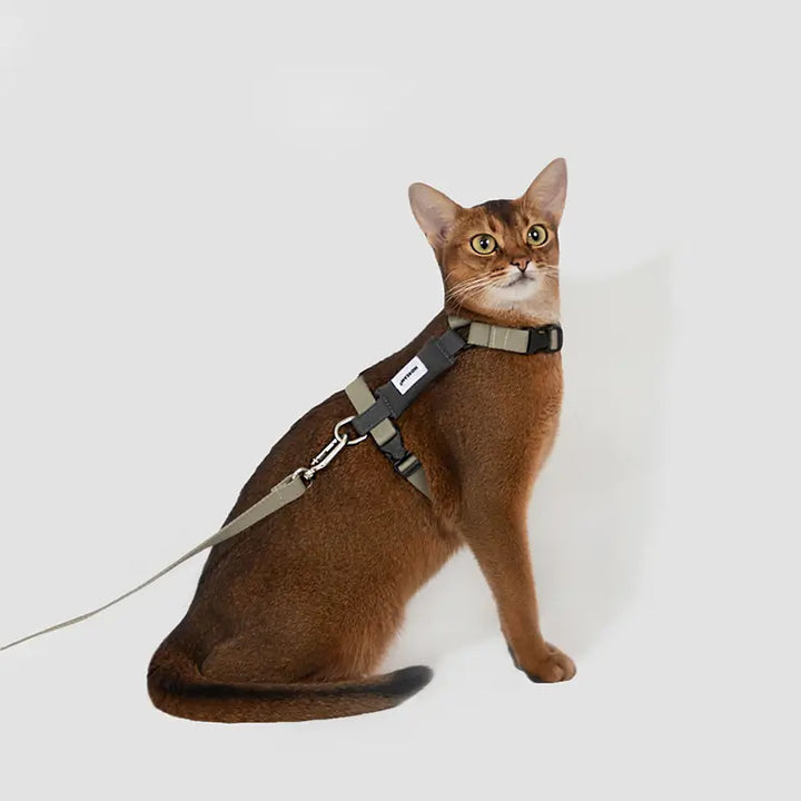 Patchwork Colorwork Cat Harness And Leash Kit Grey 1
