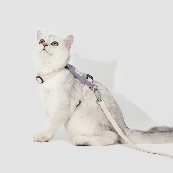 Patchwork Colorwork Cat Harness And Leash Kit Purple 2