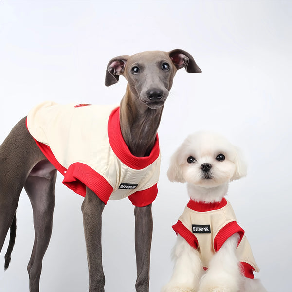 Summer Cool Pet Vest