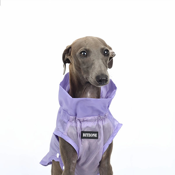 Summer Sun Protective Pet Clothing