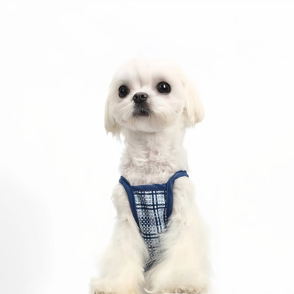 Summer Vichy Plaid Pet Dress