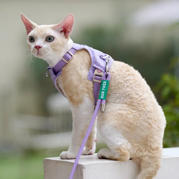 Vest-style Cat Harness And Leash Kit