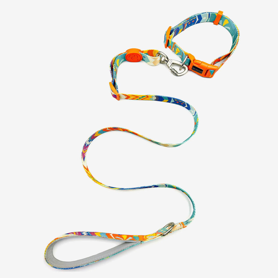 Paw Journeys Adjustable Color-Blocked Dog Collar & Leash Kit Orange-1