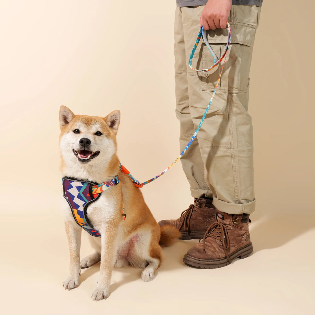 Paw Journeys Adjustable Color-Blocked Dog Leashes Orange-005