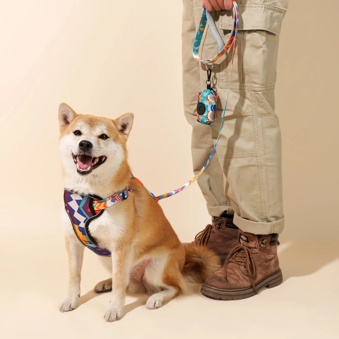 Paw Journeys Adjustable Color-Blocked Dog Leashes Orange-006