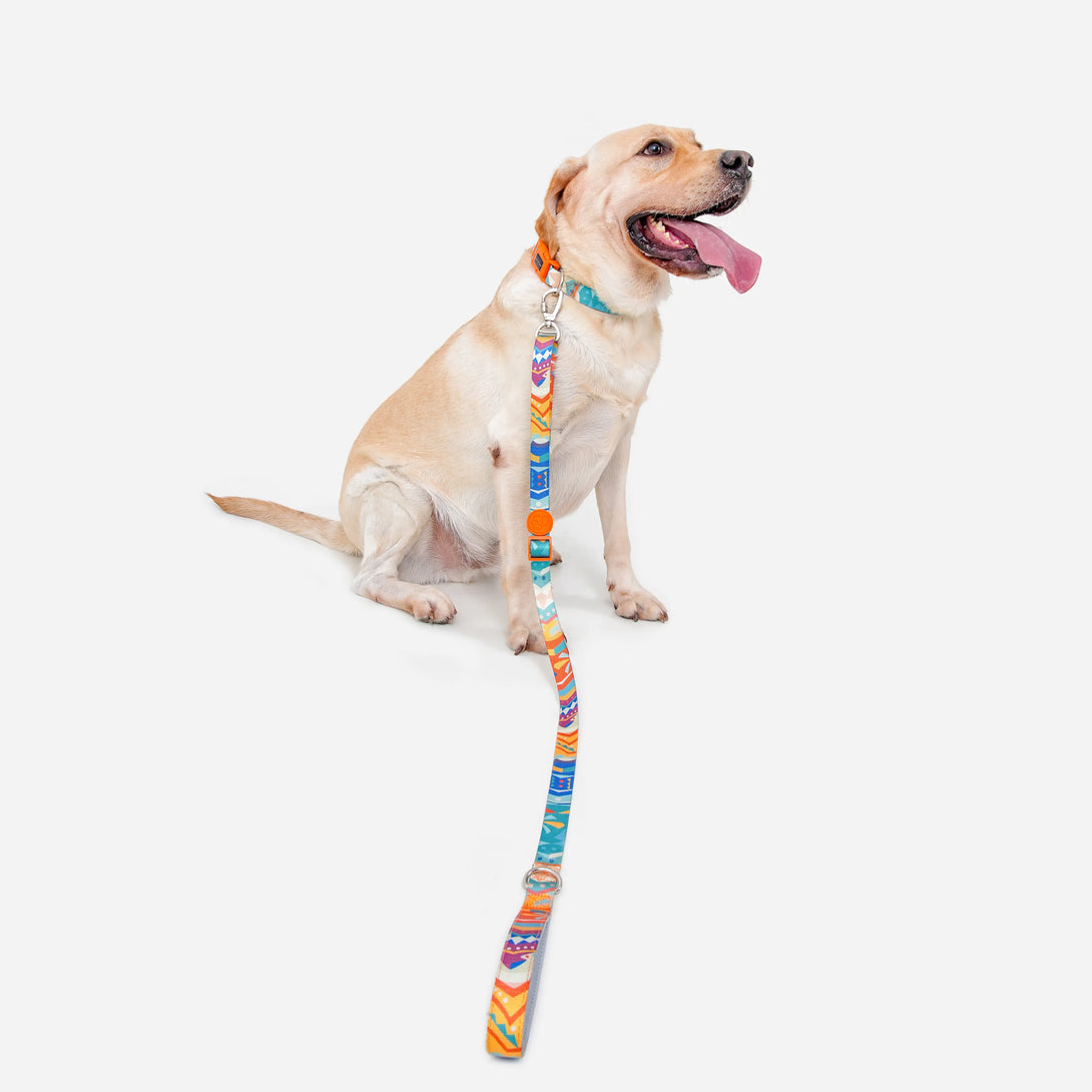 Paw Journeys Adjustable Color-Blocked Dog Leashes Orange-02