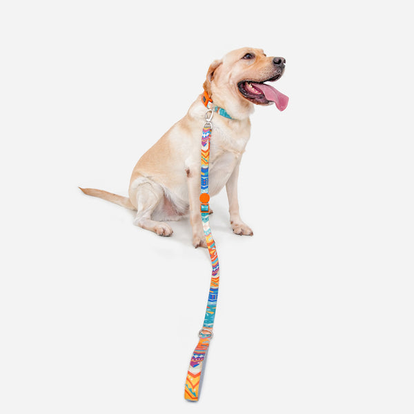 Pawjourneys Adjustable Color-Blocked Dog Leashes