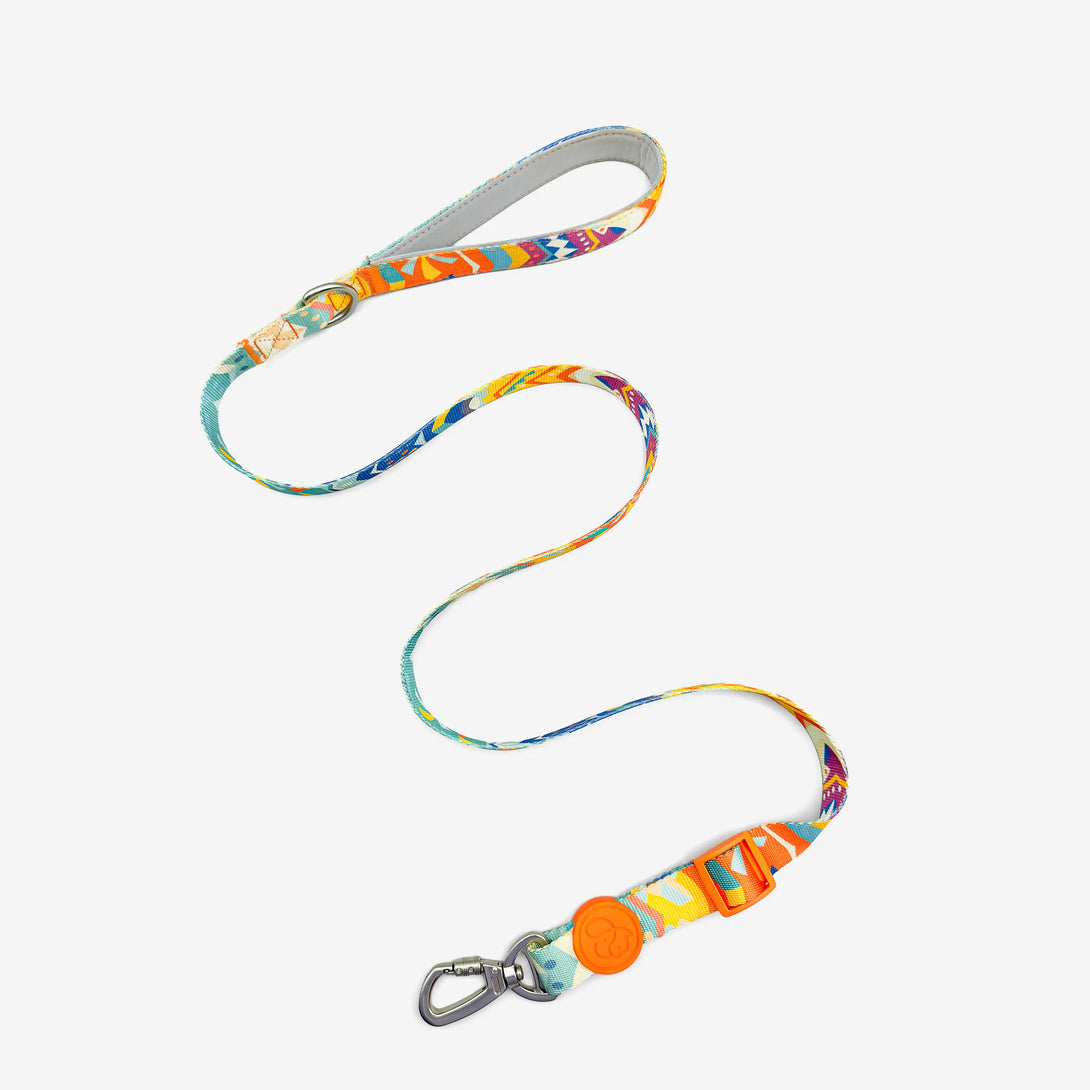 Paw Journeys Adjustable Color-Blocked Dog Leashes Orange-1