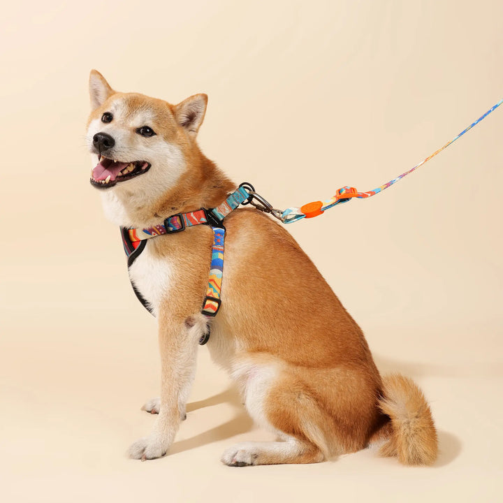 Paw Journeys Adjustable Front Clip Dog Harness Orange-004