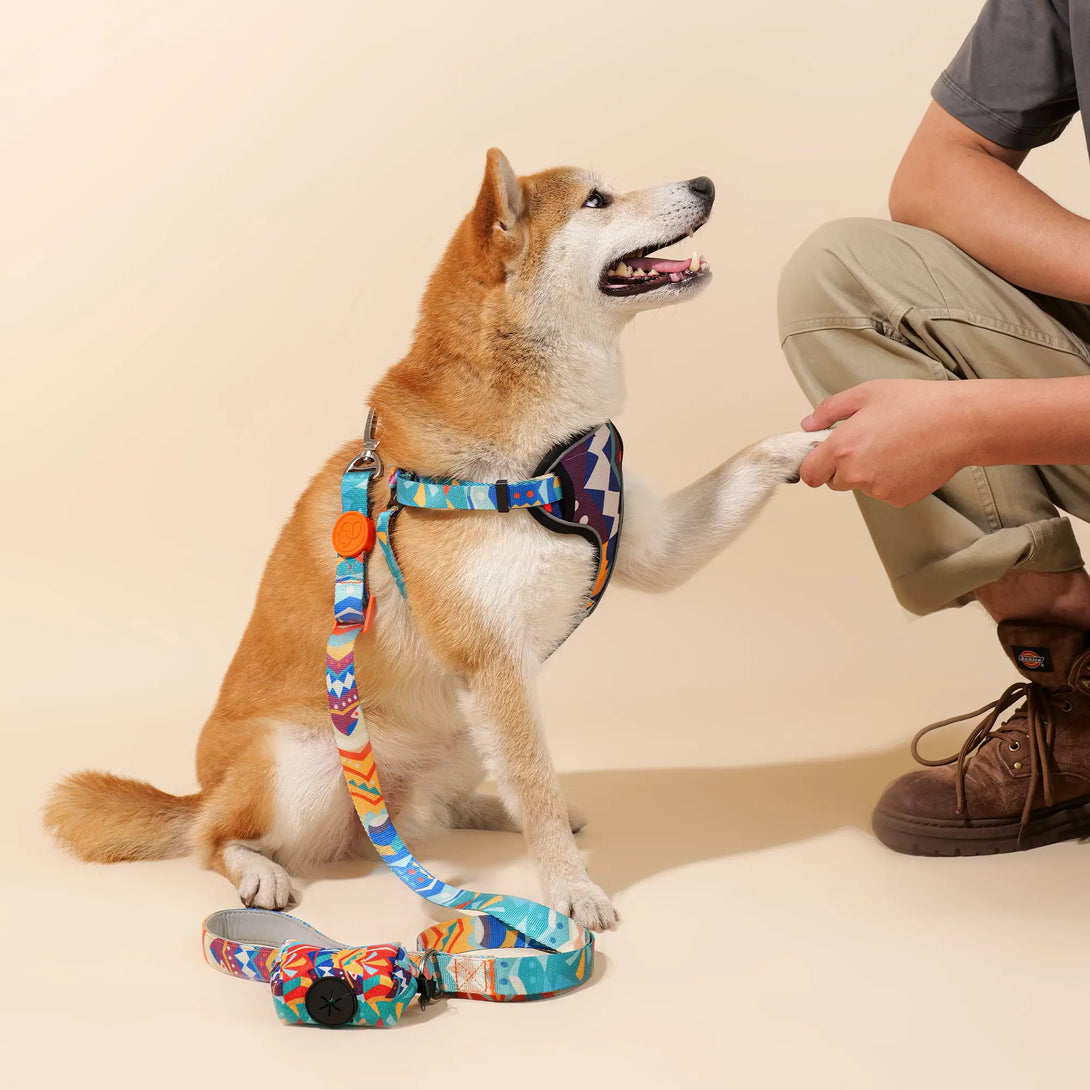 Paw Journeys Adjustable Front Clip Dog Harness Orange-005
