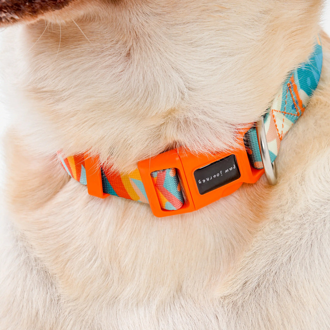 Paw Journeys Bright Color-blocked Dog Collar Orange-002