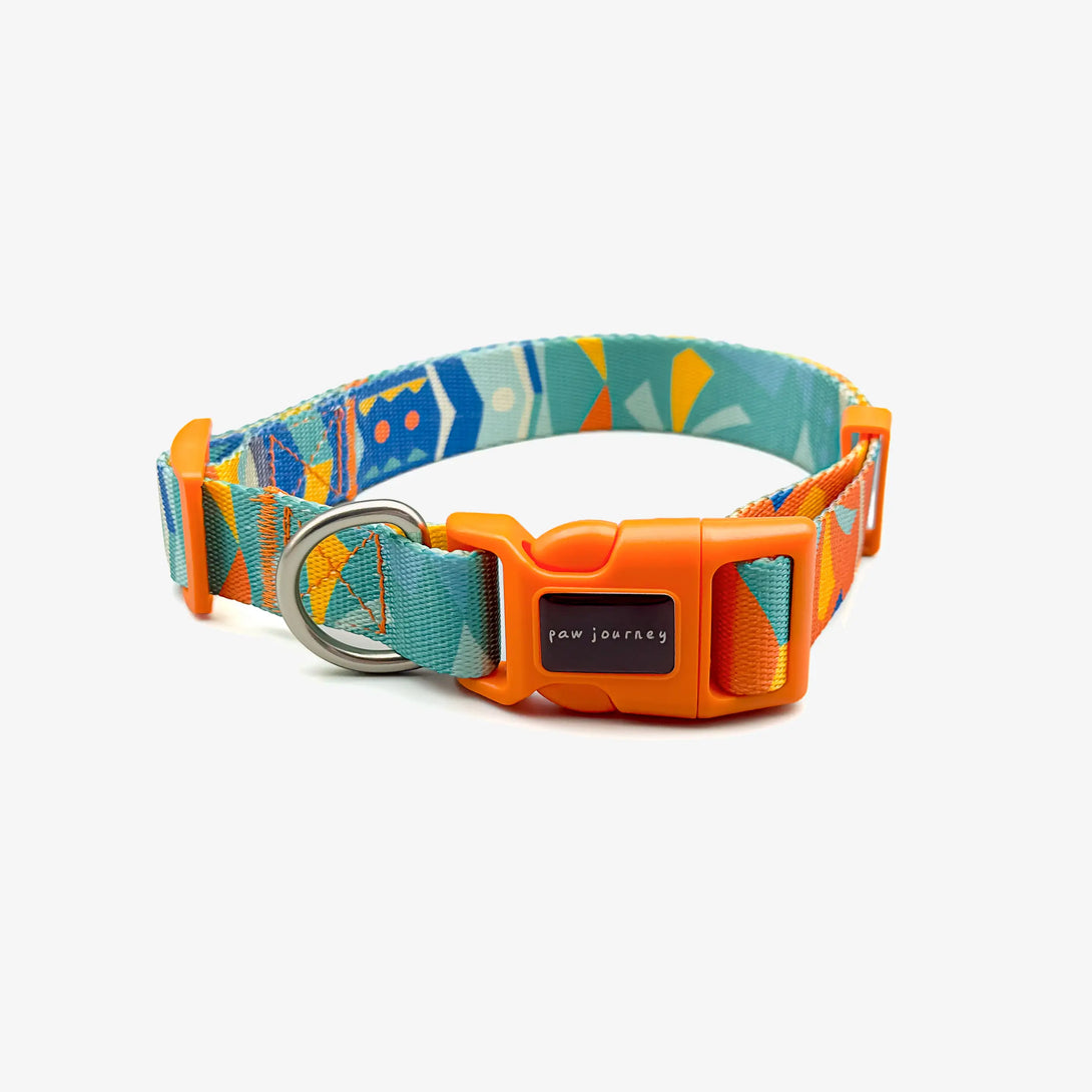 Paw Journeys Bright Color-Blocked Dog Collar Orange-1