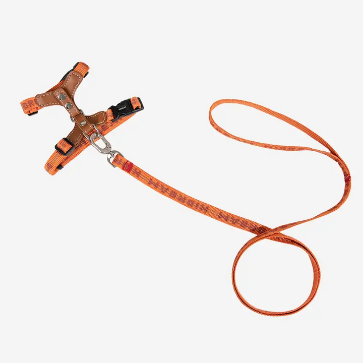 Paw Journeys Adjustable Cat Harness & Leash Kit Orange