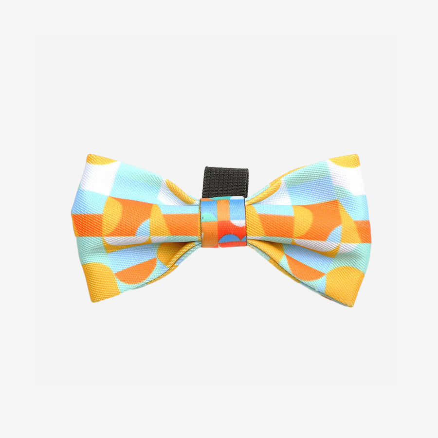 Paw Journeys Collar Bowties For Puppies Pets Orange