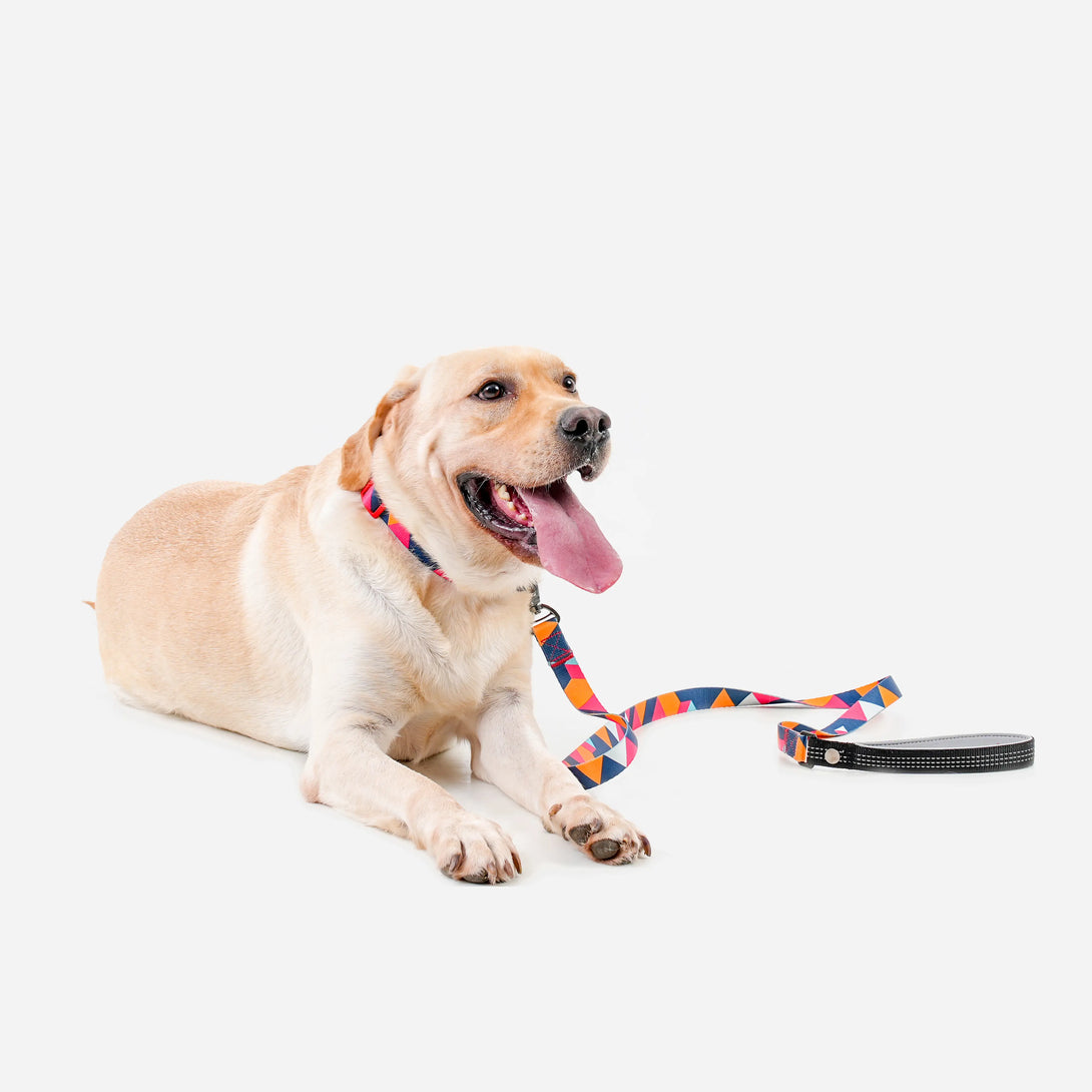 Paw Journeys Colorful Plaid  Dog Collar & Leash Kits-Reflective Red-01