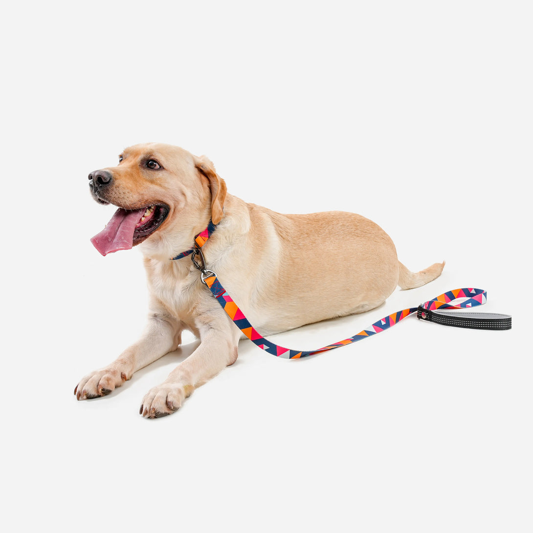 Paw Journeys Colorful Plaid  Dog Collar & Leash Kits-Reflective Red-02